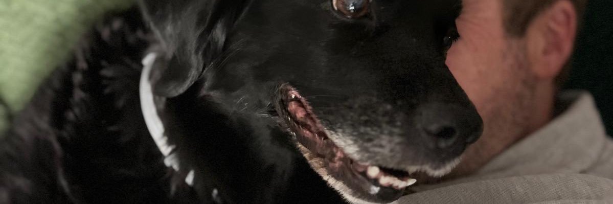 Nitus banner