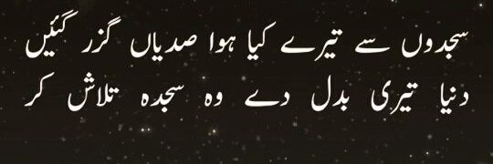 Z@hid زاہد जाहिद banner