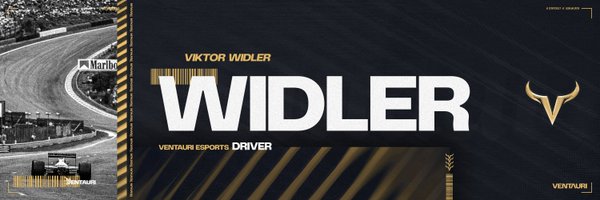 ViktorWidler Profile Banner