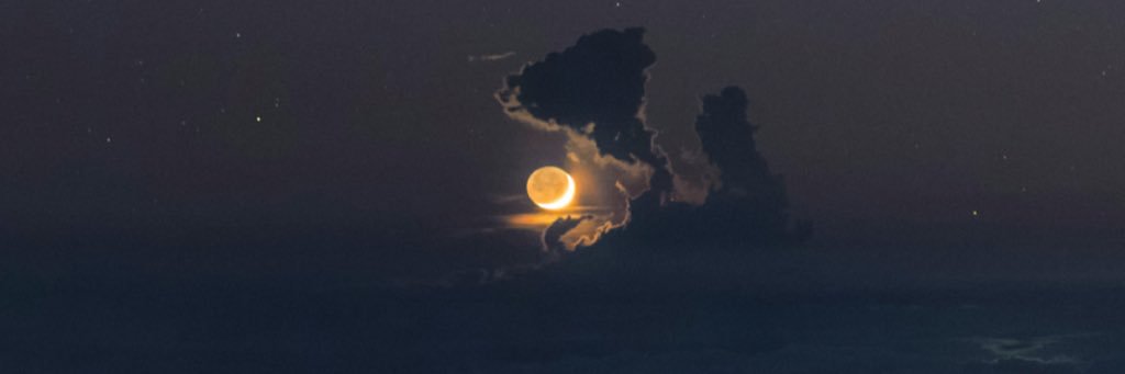 Kellector's profile banner image