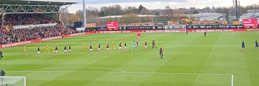 William Haslum banner