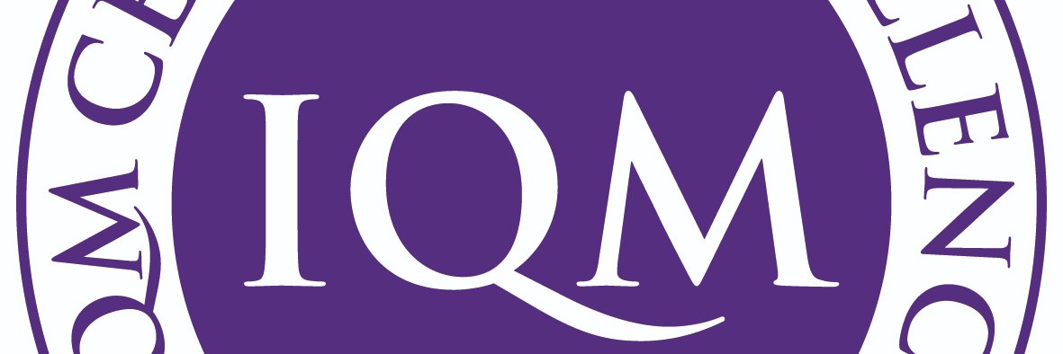 Executive Lead for School Improvemt @iqmaward banner