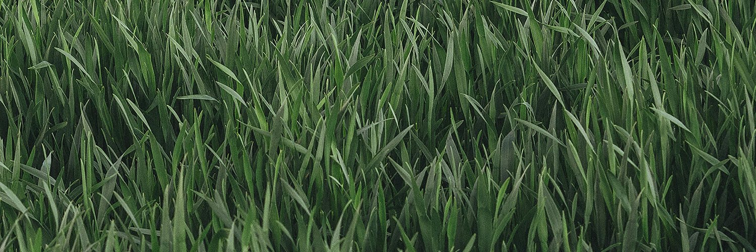 Foot Merdecato banner