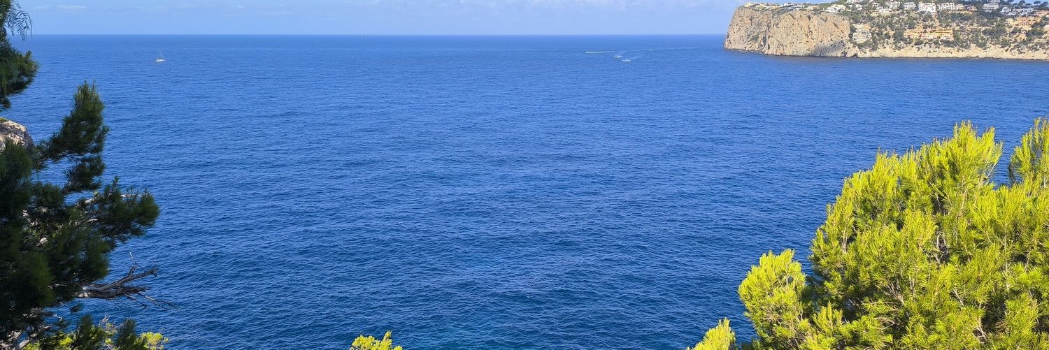 rensovzla's profile banner image