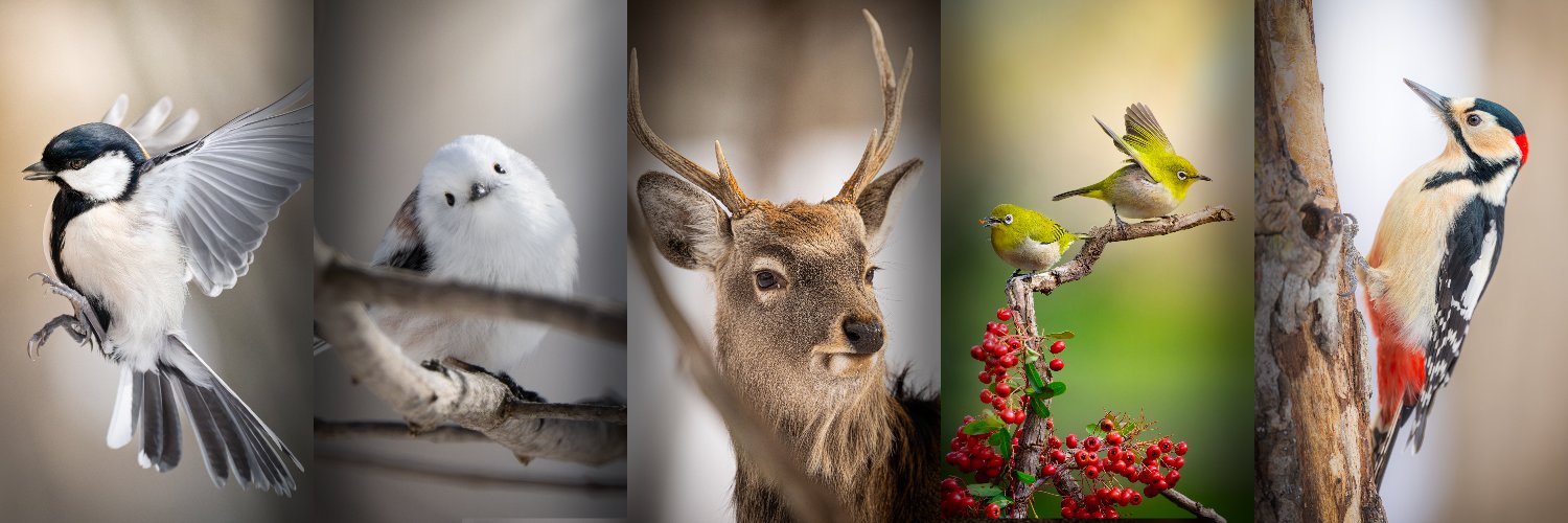 KayのPhotoBook banner