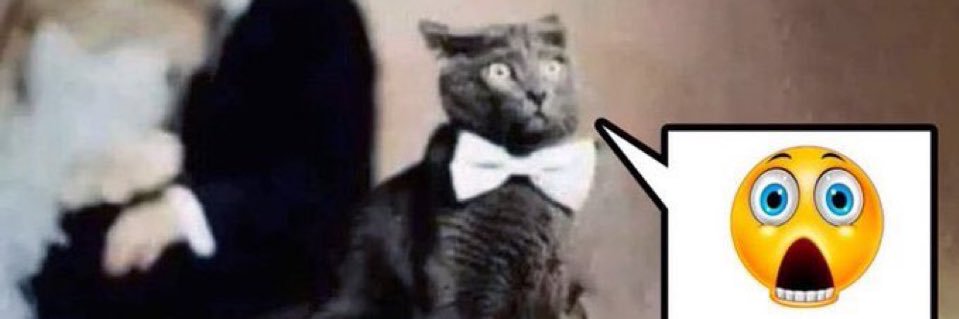 Putruck 🇵🇸 #FreePalestine banner