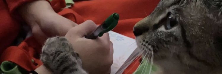 bethany_af's profile banner image