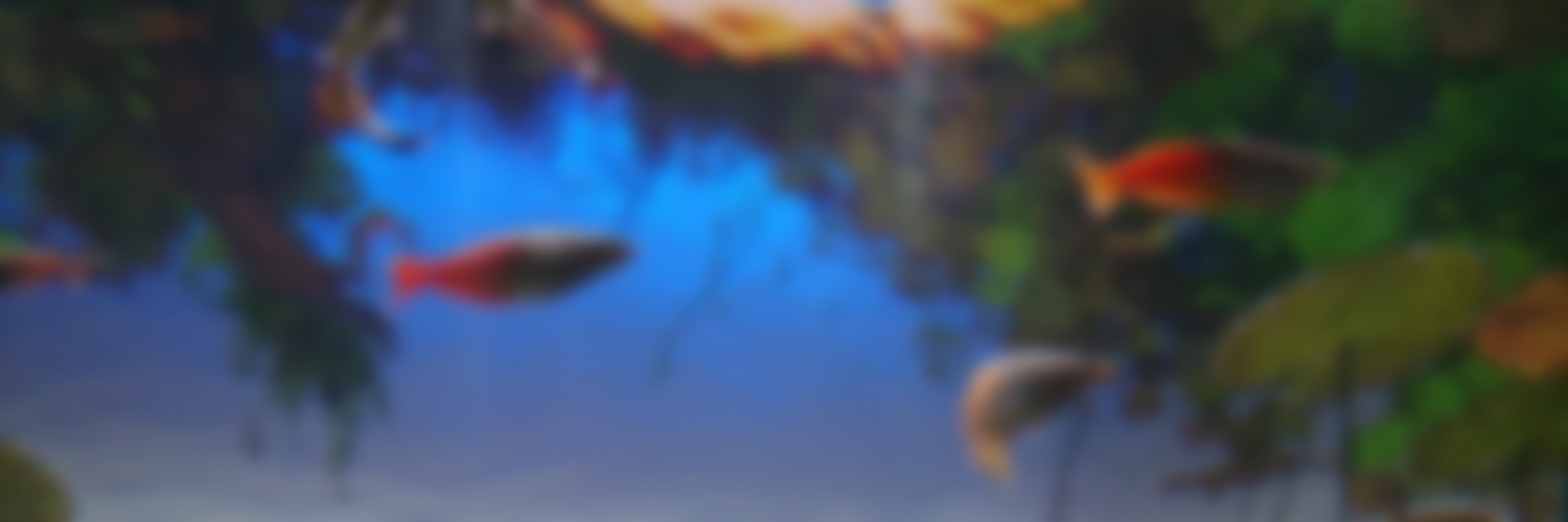 庵折's banner