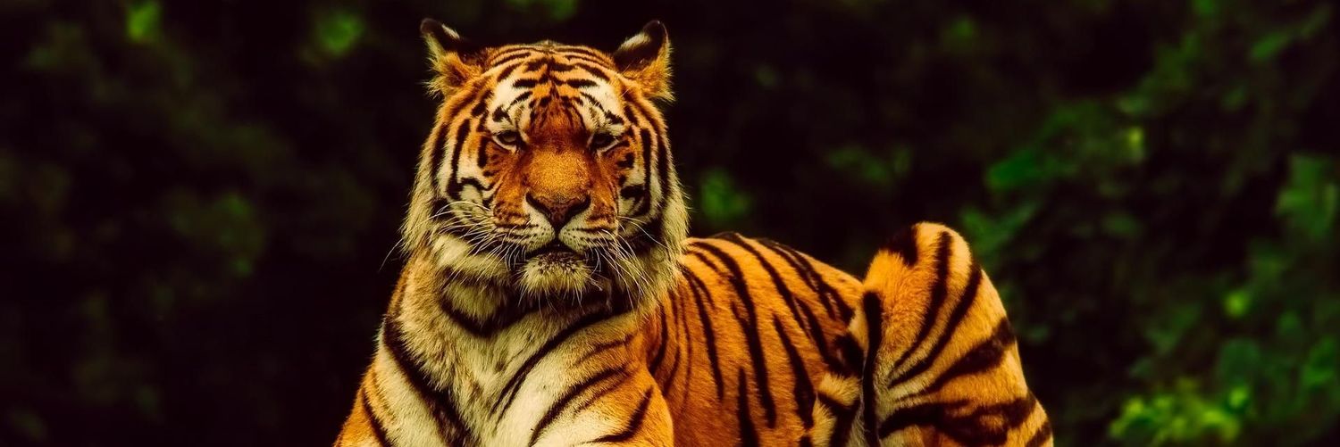 Matteus_brito05's profile banner image