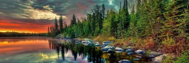 George Poth 🇩🇪 banner