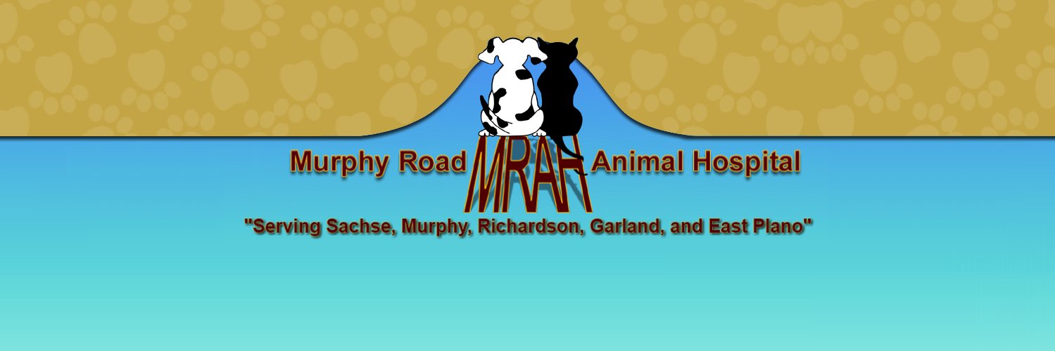 MurphyRoadAH's profile banner image