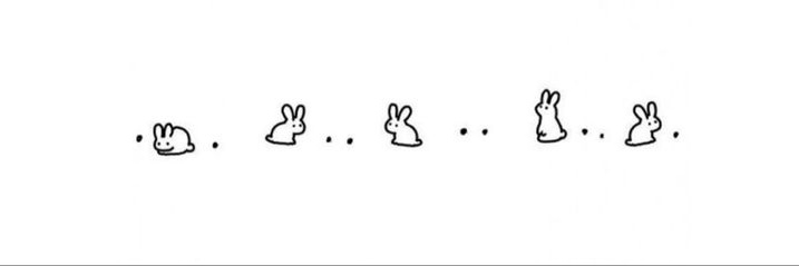 seungmin as bunnies banner