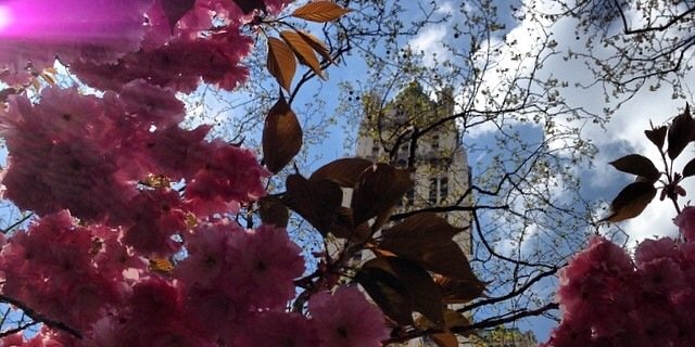 CINDYCASTT's profile banner image