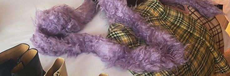 bela ⚢ banner