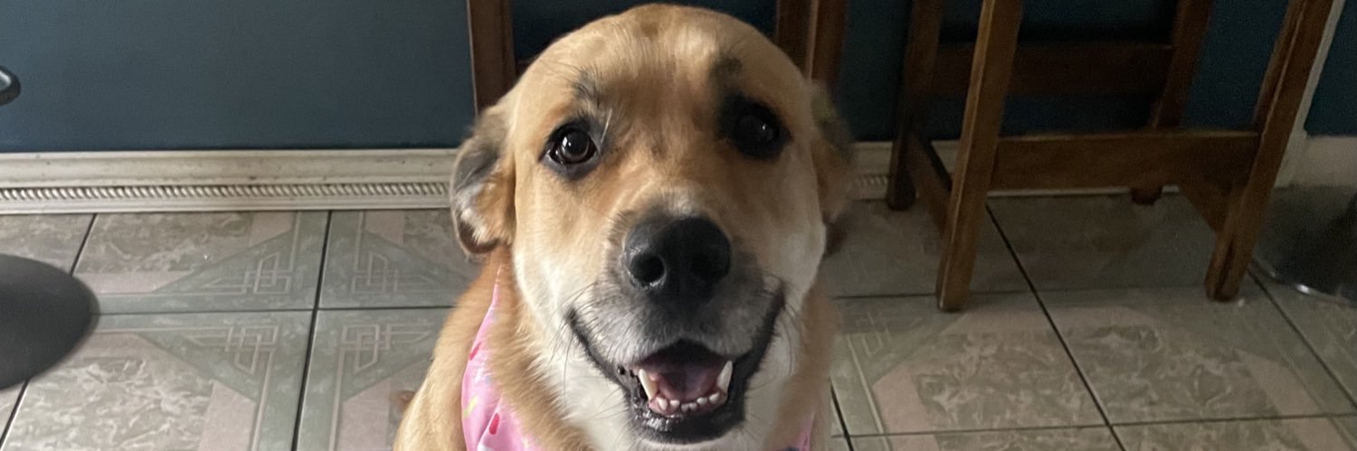 FidelCruz_'s profile banner image