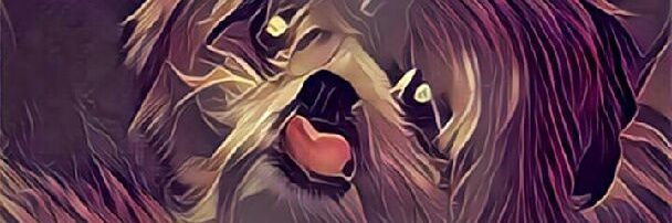 Pali2882's profile banner image