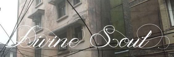 ⋆ mrs. paul atreides ii . banner