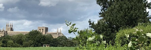 PTstephenB Profile Banner