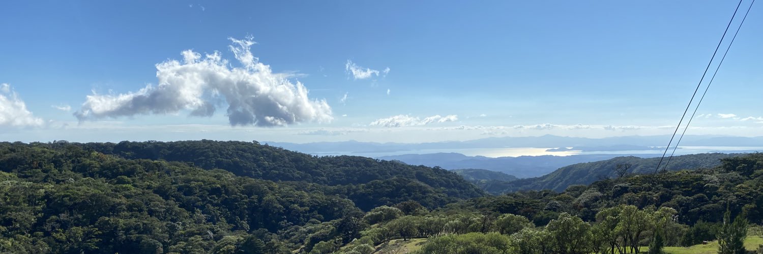 Elizabeth Williams banner