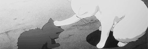 najm059's profile banner image