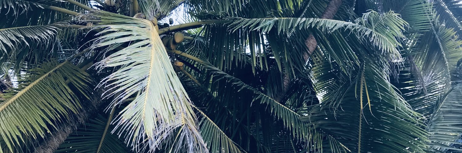 faggotally's profile banner image