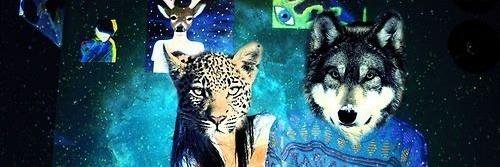 _satirico's profile banner image