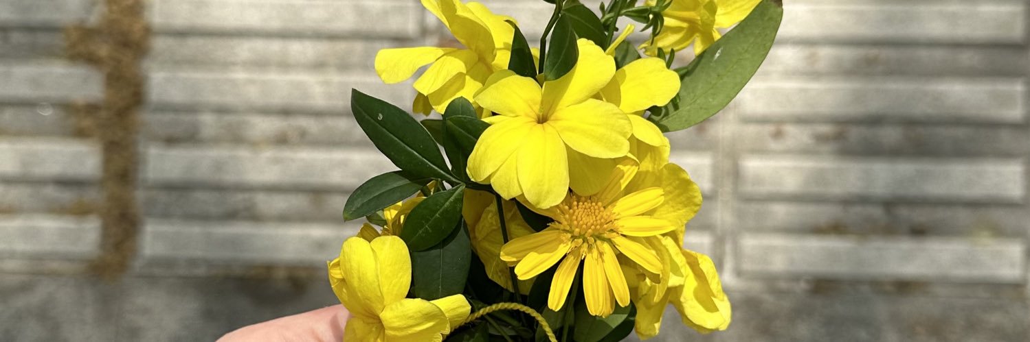 florfe__'s profile banner image