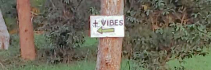 shecc_yeahh's profile banner image