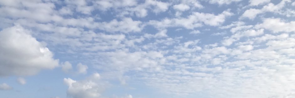 WindOfFarNorth's profile banner image