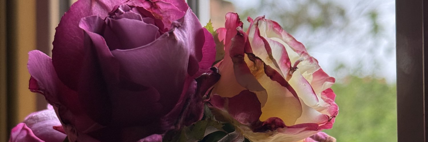 mme_bd's profile banner image