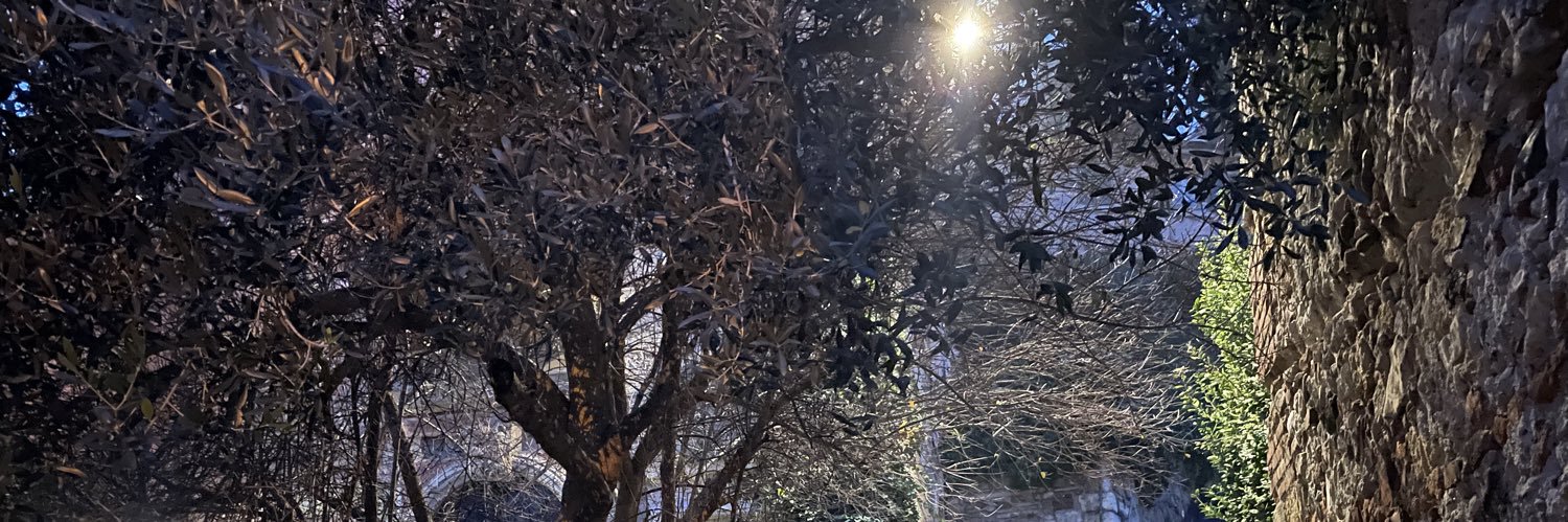ltjloll's profile banner image