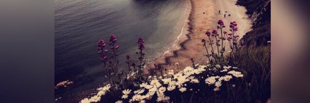 Majed056820's profile banner image