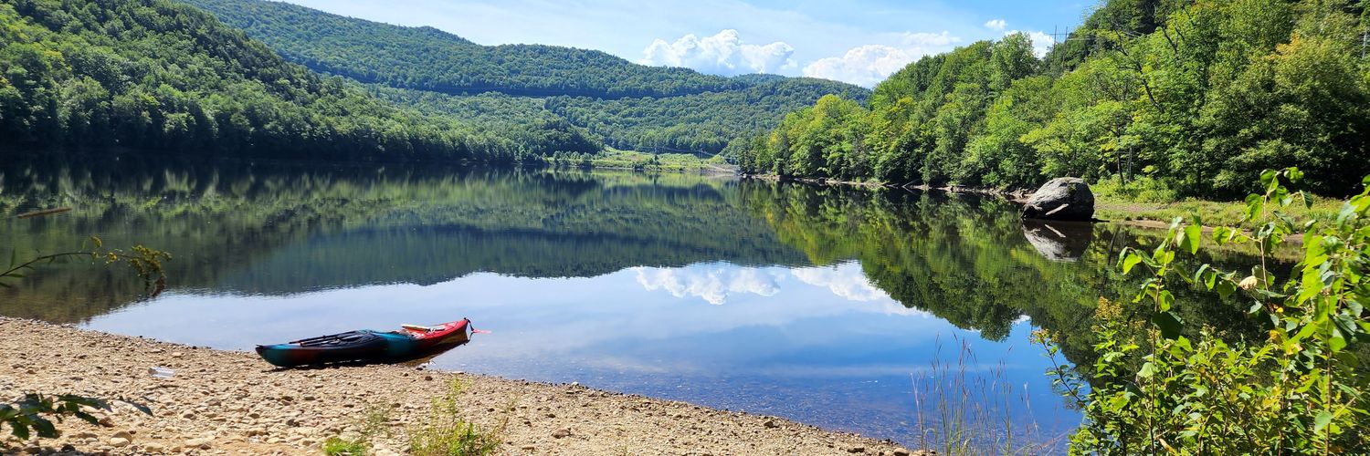 Ryan Salinger banner