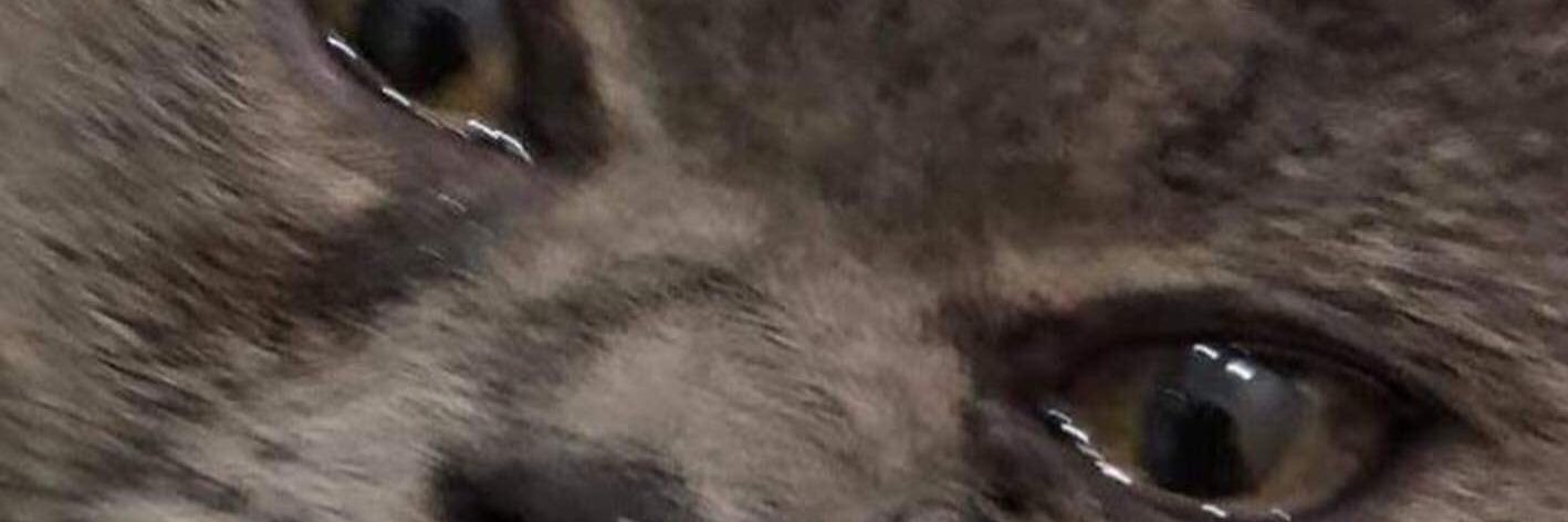 caffeyyn's profile banner image