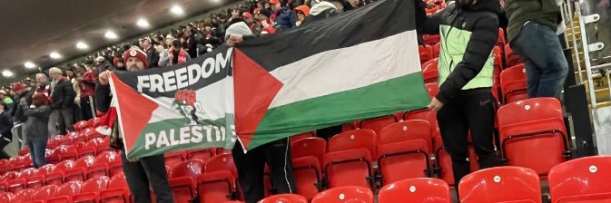 🇵🇸 banner