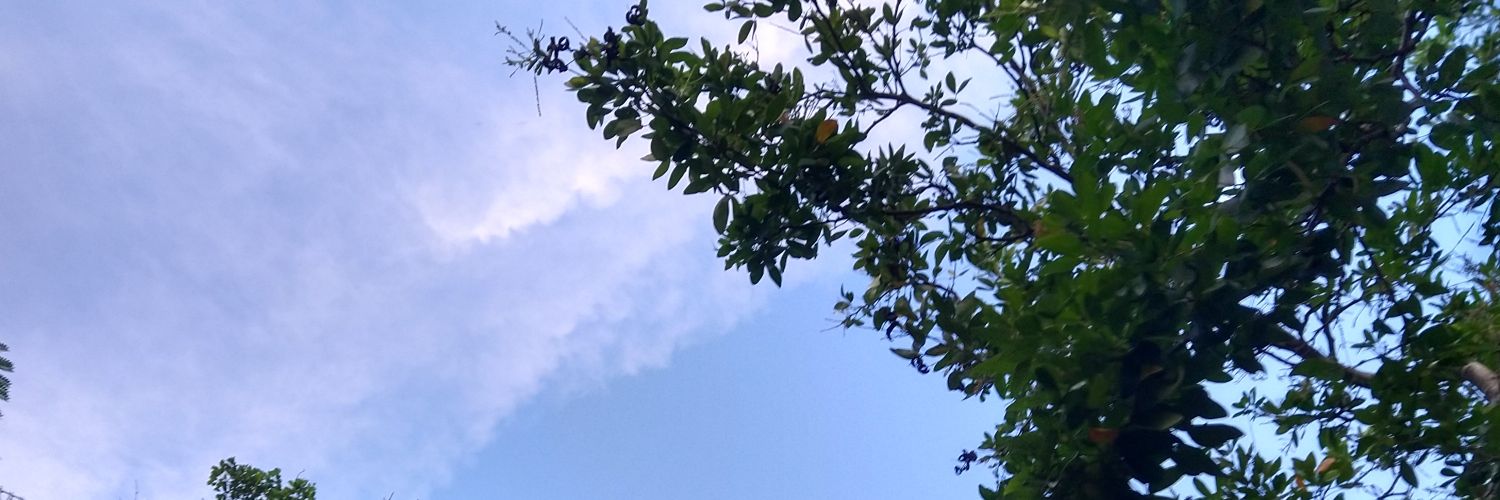 EMPWritings's profile banner image