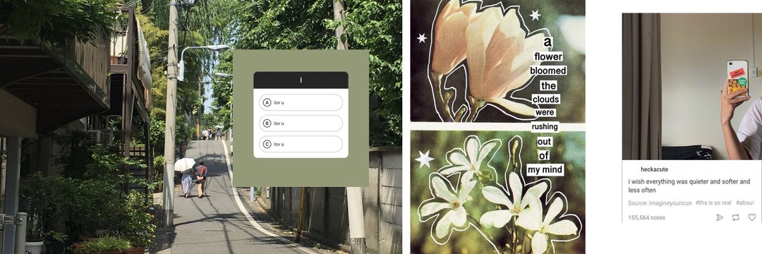 sushi 𓆩⚝𓆪 banner