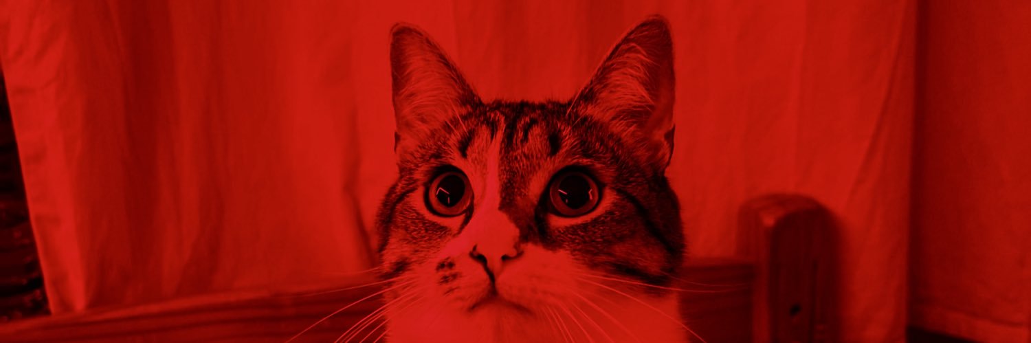 im_RLO's profile banner image