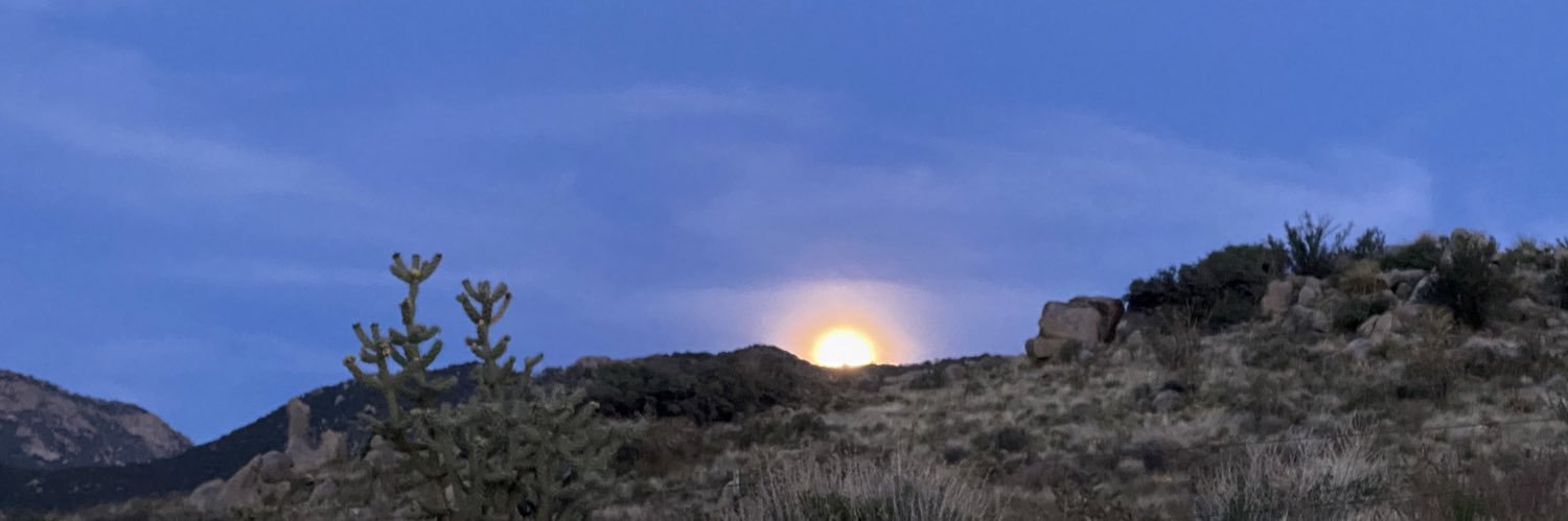 Susan Bowdoin banner