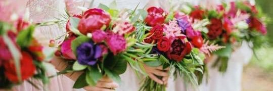 Jess_Lovett's profile banner image