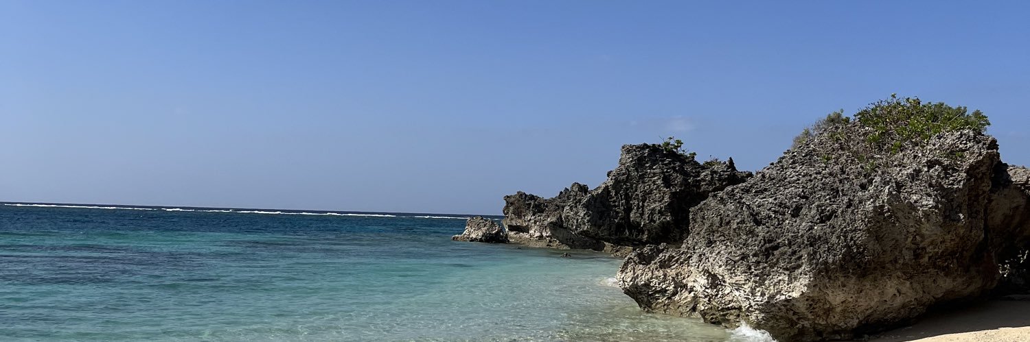 SI55263879's profile banner image