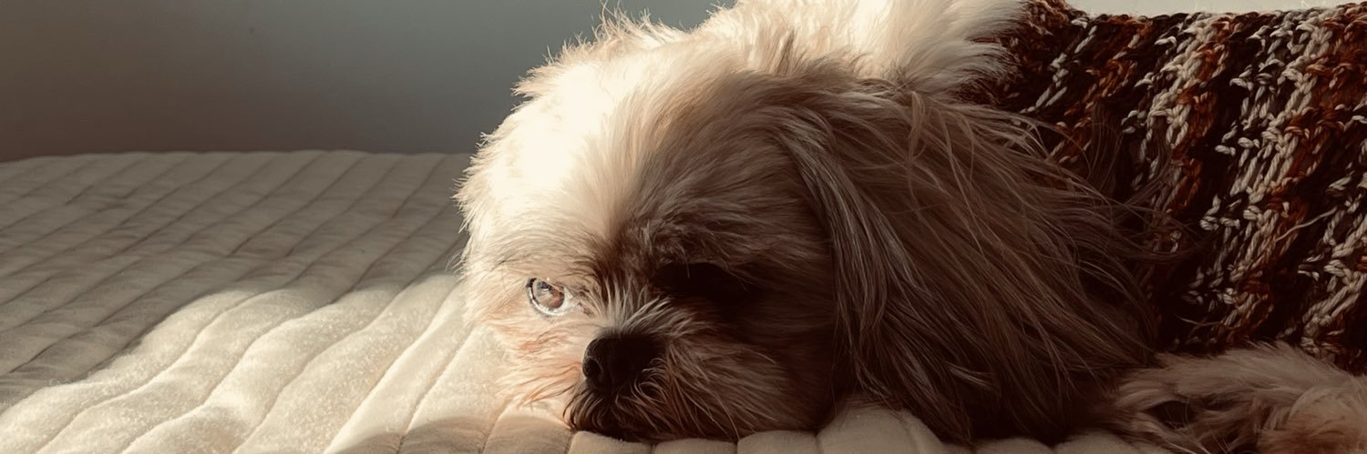 anitaaxsofia's profile banner image