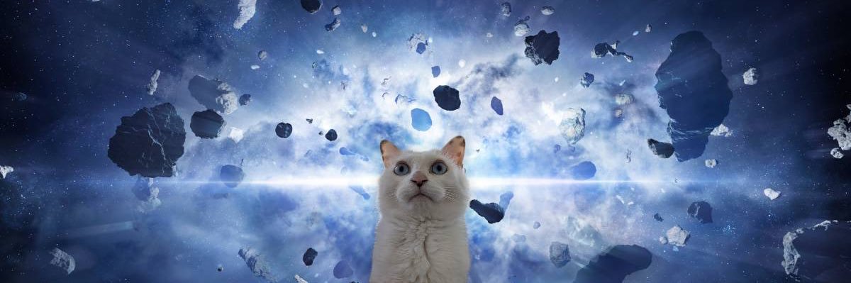 Duffyowt's profile banner image
