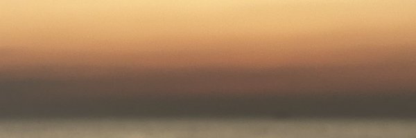 ginaraigoraroii Profile Banner