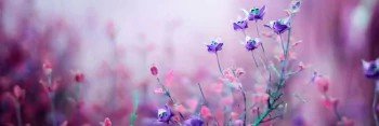 CJroly_poly's profile banner image