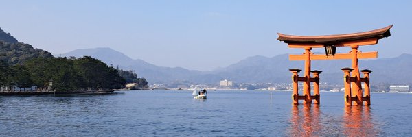 carp__bear Profile Banner