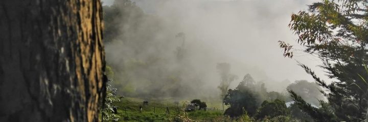 MILEM94's profile banner image