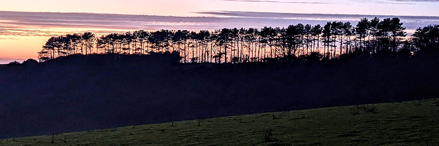 EndHall2's profile banner image