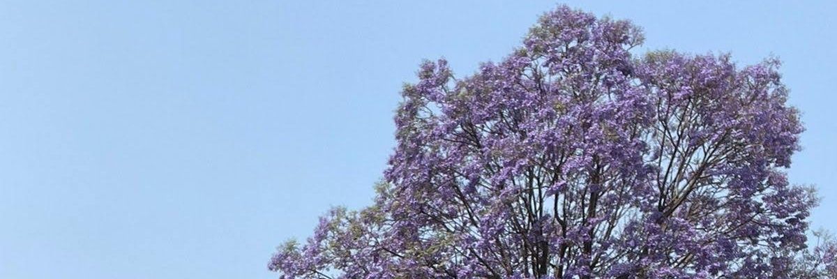 StefyVT_97's profile banner image