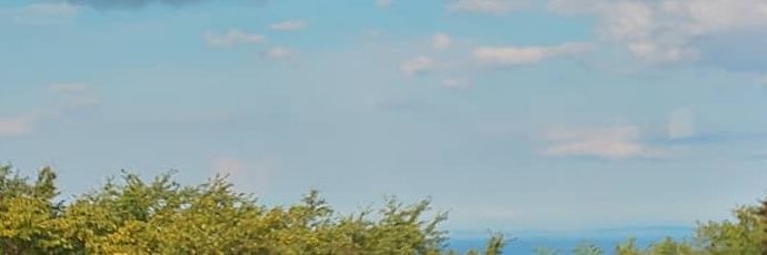 haruru0883's profile banner image
